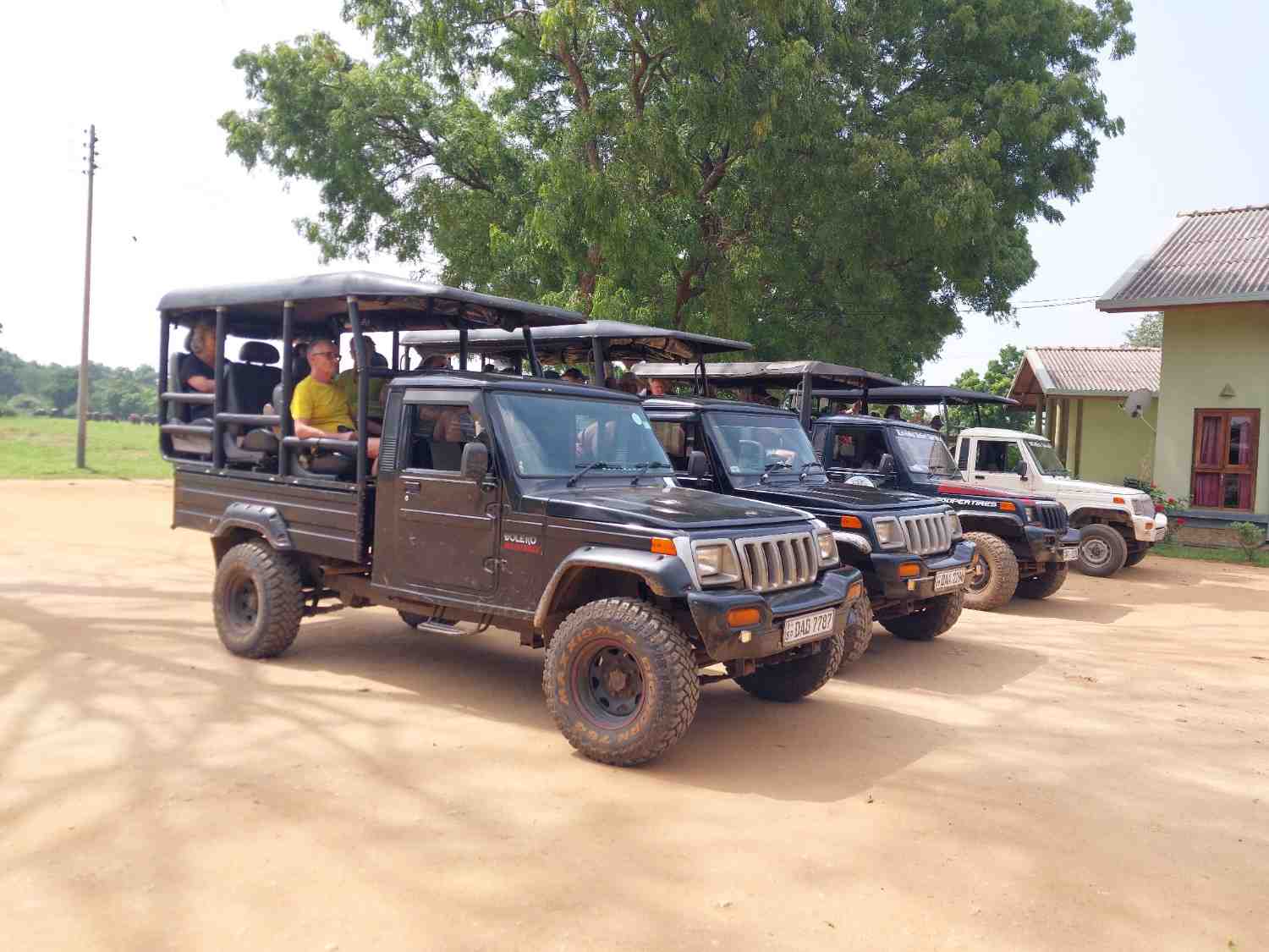 What to Wear on a Wildlife Safari
