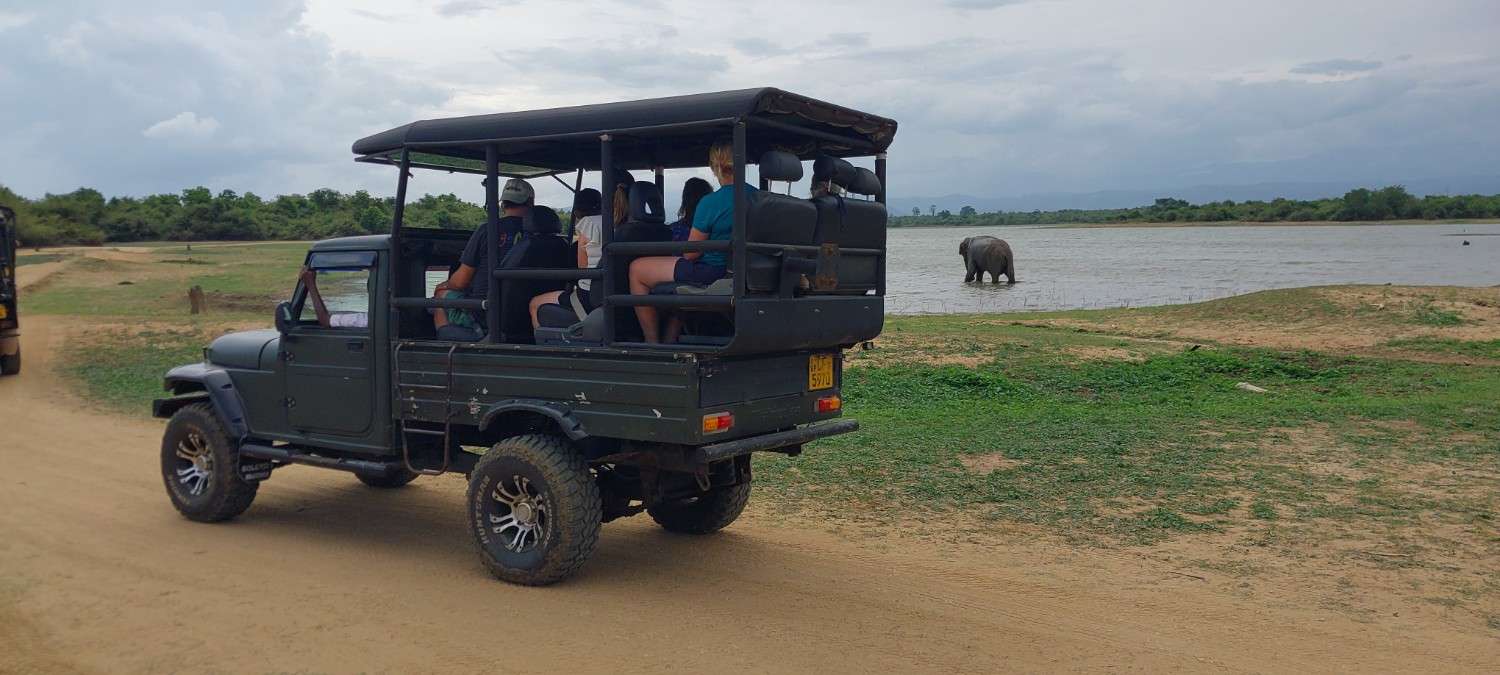 Best Time to Visit Udawalawe National Park